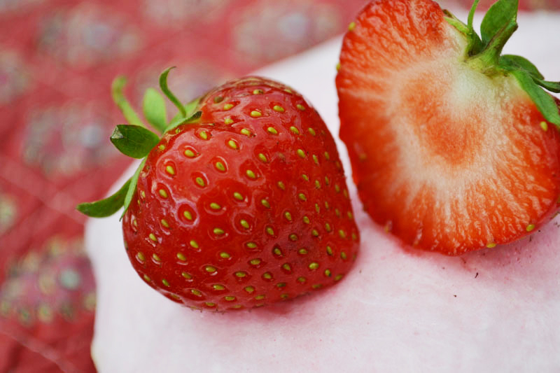 fraises1